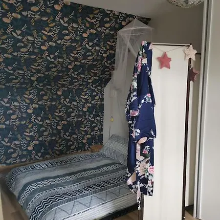 度假居 Grande Maison De Touraine Avec Piscine Chauffee *